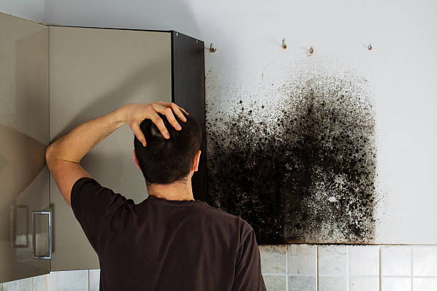 Best Mold Testing  in Marble Falls, TX