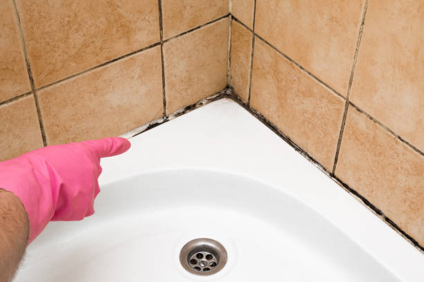 Best Mold Removal Near Me  in Marble Falls, TX